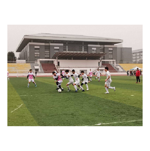 图片11.png