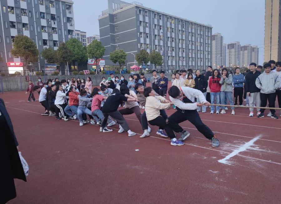 图片14.png