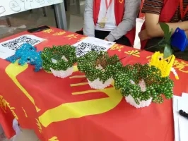爱心义卖2.jpg