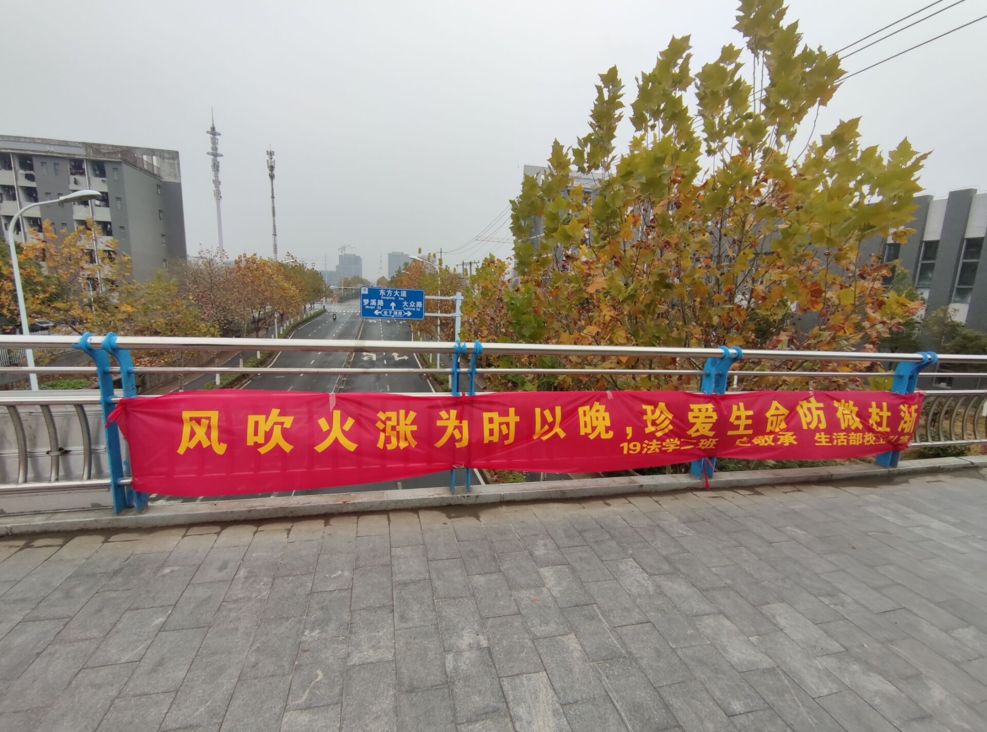 -1627ab8cef745669.jpg