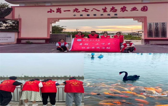 图片12.png