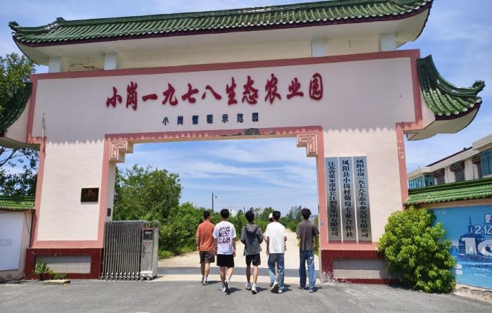 图片8.jpg