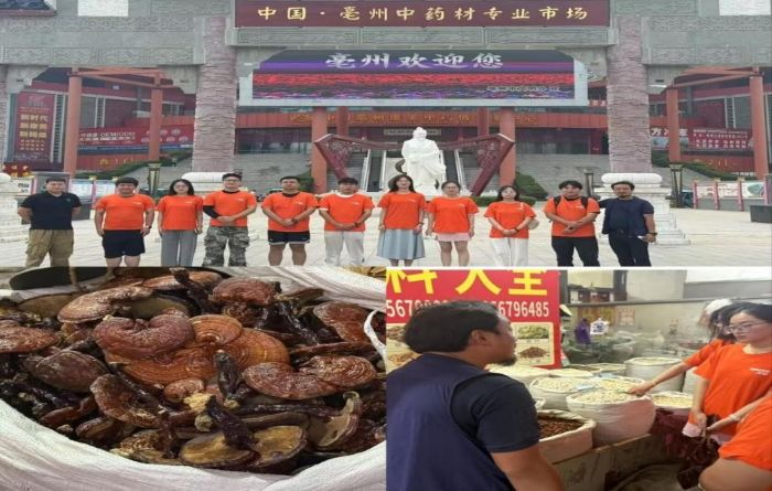 图片6.jpg