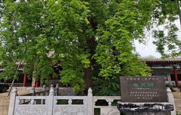 图片24.jpg