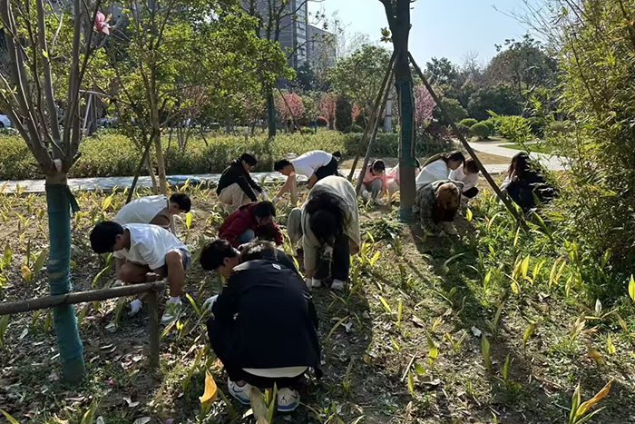 图片88.png