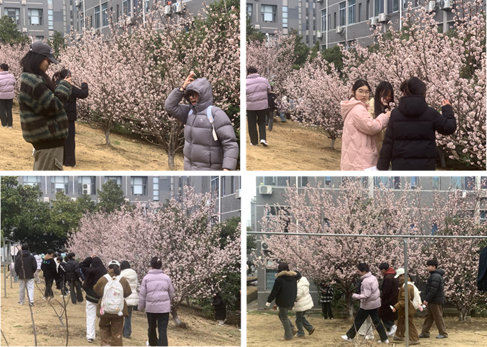图片1_副本.png
